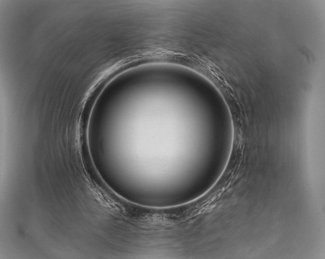 X0000111840244200907231414