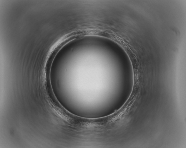 X0000111840246200907231414