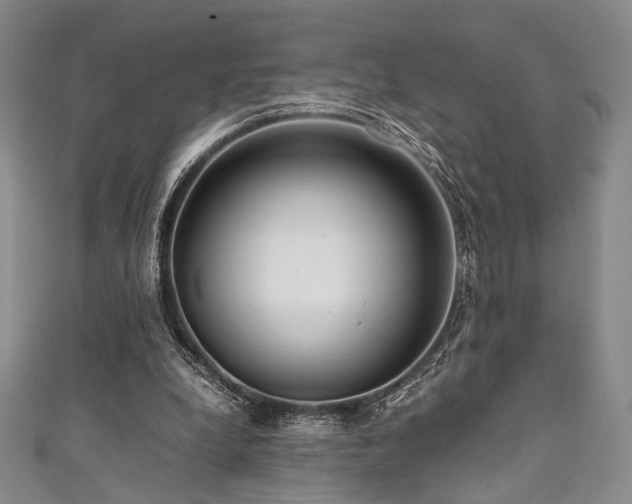 X0000111840248200907231414