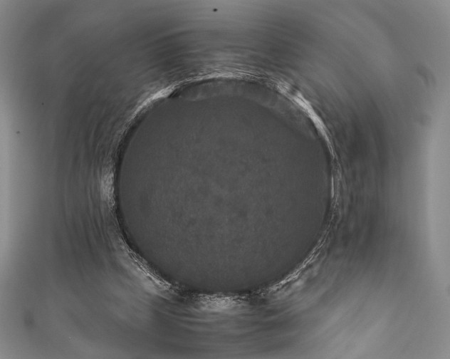 X0000111840249200907231414