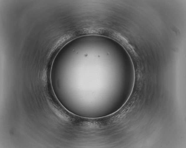 X0000111840250200907231414