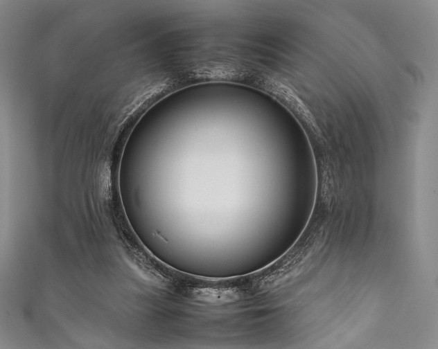 X0000111840251200907231414