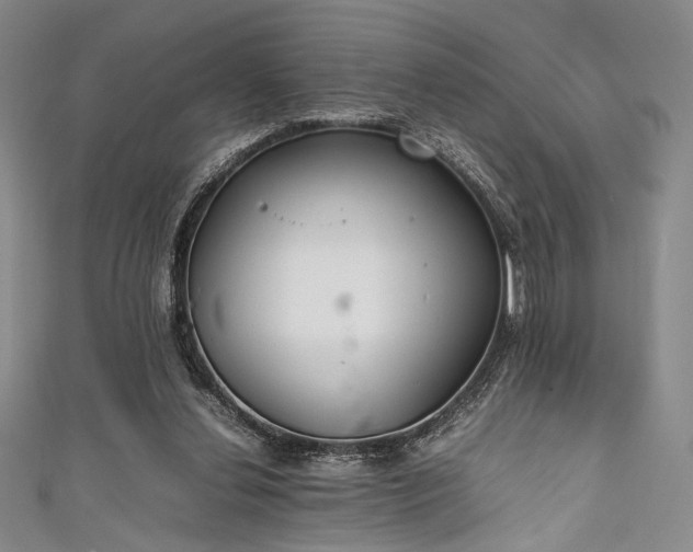 X0000111840252200907231414