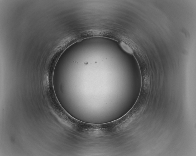 X0000111840254200907231414