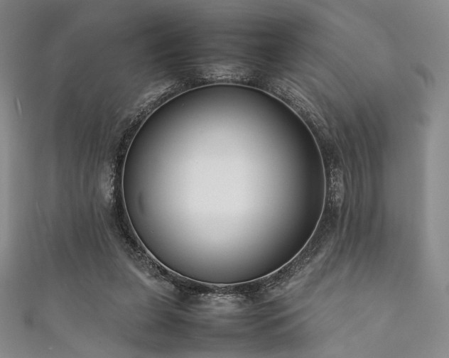 X0000111840255200907231414