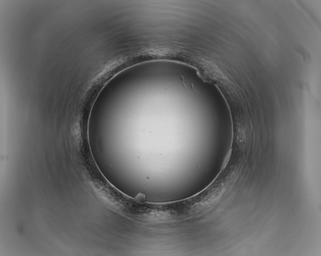 X0000111840256200907231414