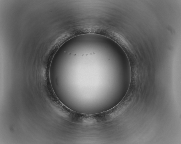 X0000111840258200907231414