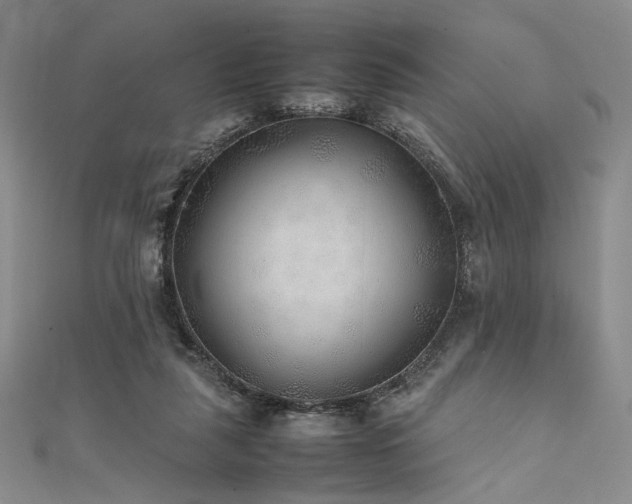 X0000111840259200907231414