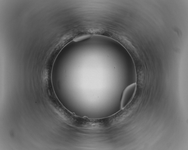 X0000111840260200907231414