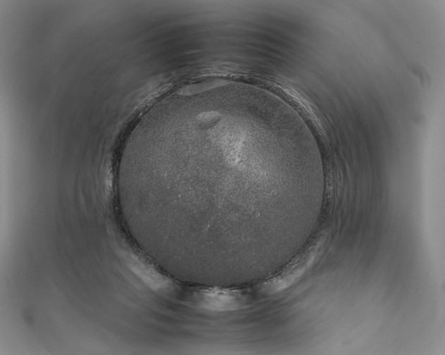 X0000111840261200907231414