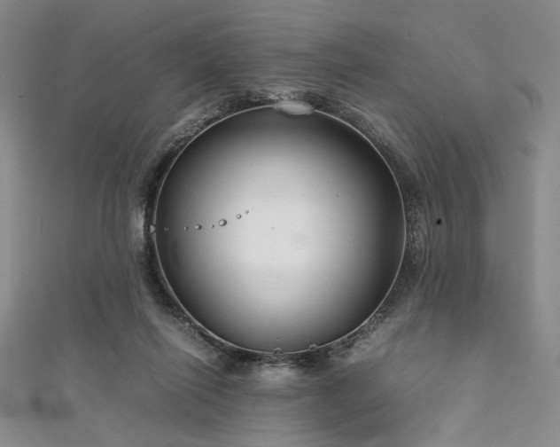 X0000111840262200907231414