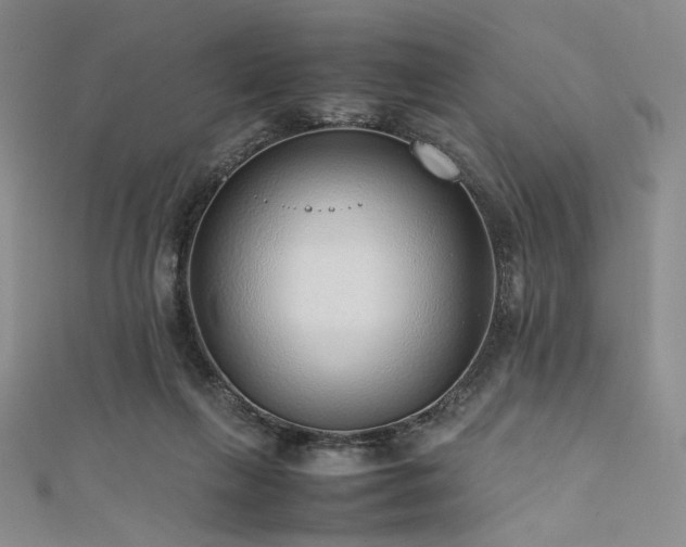 X0000111840263200907231414