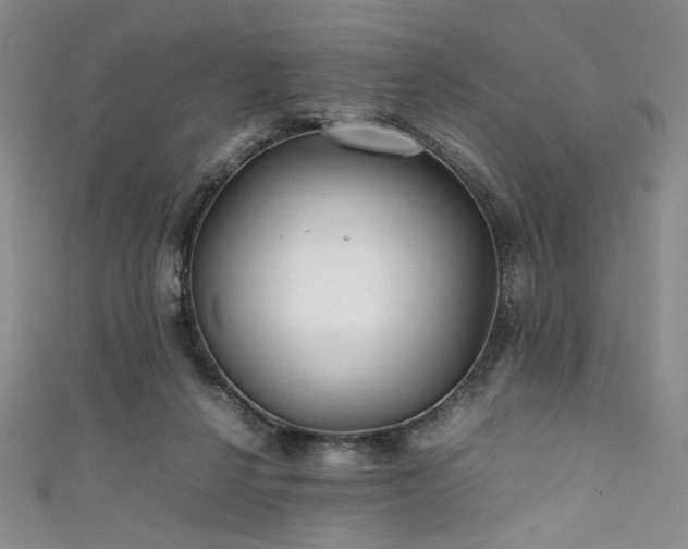 X0000111840264200907231414