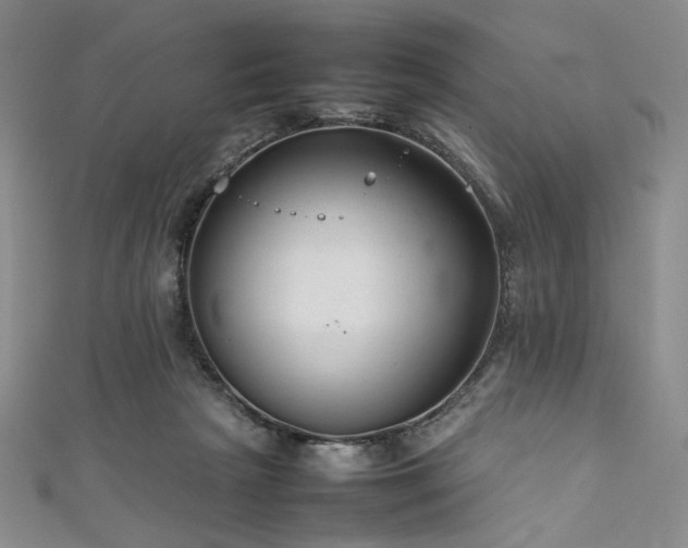 X0000111840265200907231414