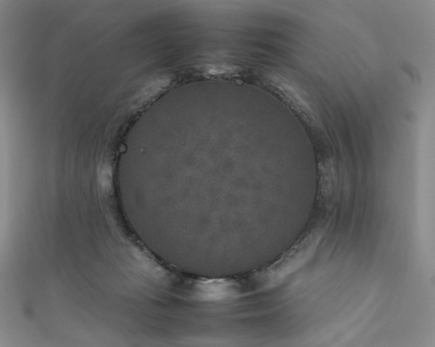 X0000111840269200907231414