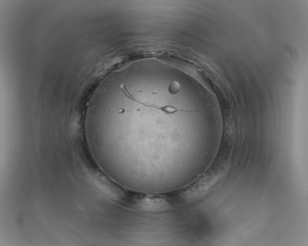 X0000111840270200907231414