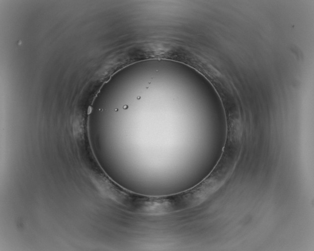 X0000111840274200907231414