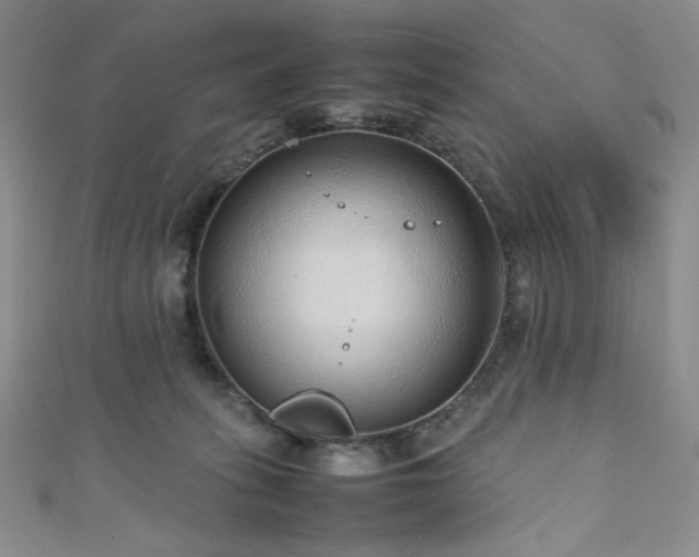 X0000111840275200907231414