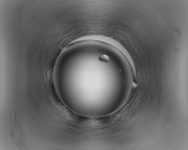 X0000111840276200907231414