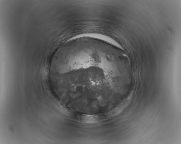 X0000111840277200907231414