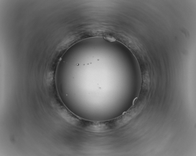 X0000111840278200907231414