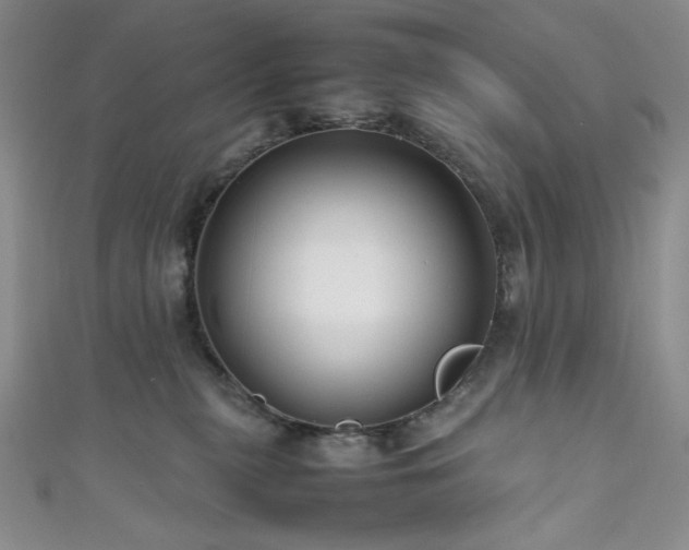 X0000111840279200907231414