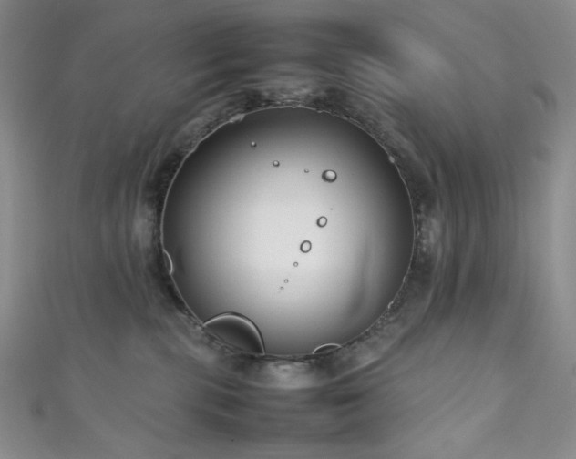 X0000111840283200907231414