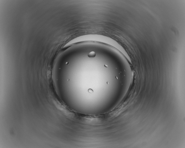 X0000111840284200907231414