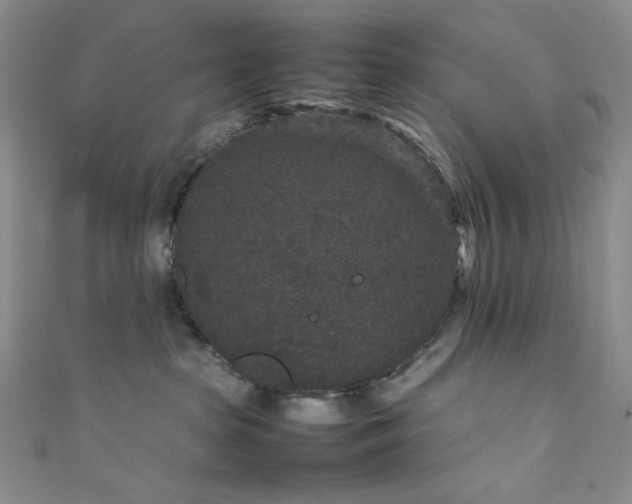 X0000111840285200907231414