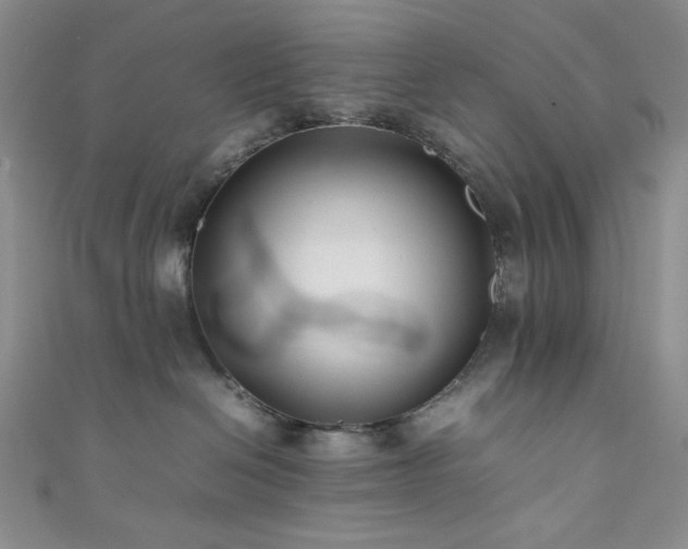 X0000111840286200907231414