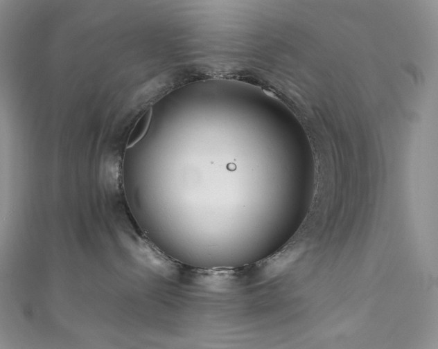 X0000111840288200907231414