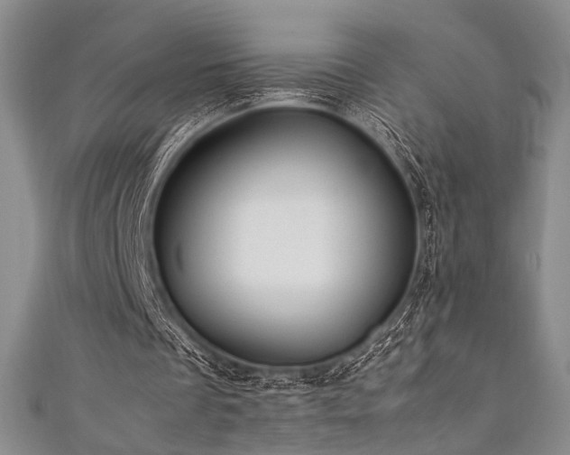 X0000111840289200907231414