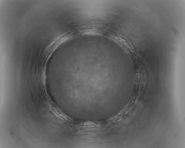 X0000111840290200907231414