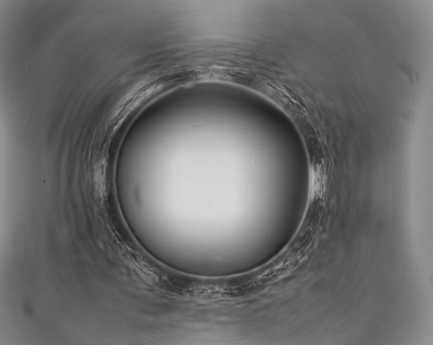 X0000111840291200907231414