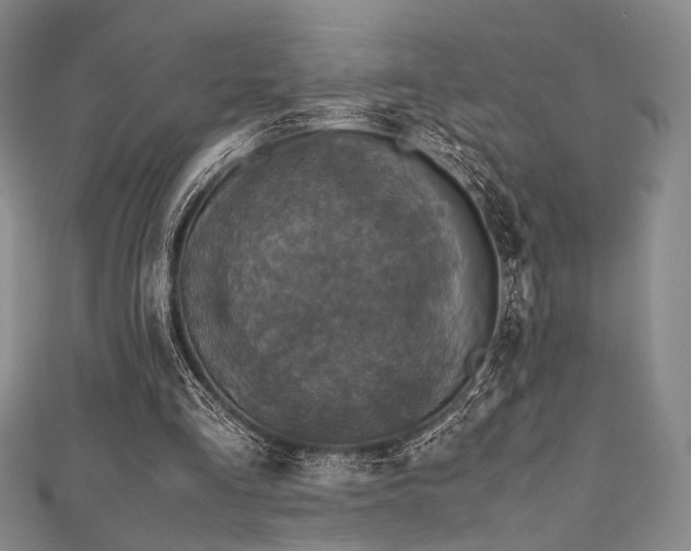 X0000111840293200907231414