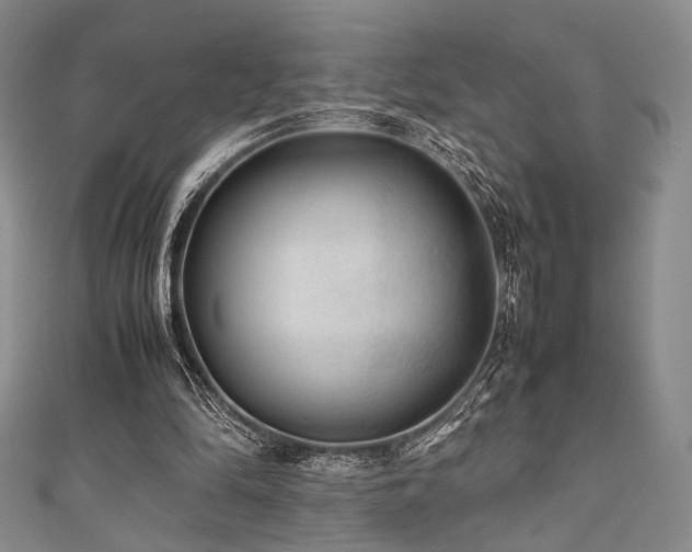 X0000111840294200907231414