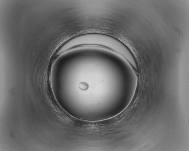 X0000111840297200907231414