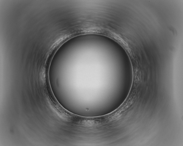 X0000111840298200907231414