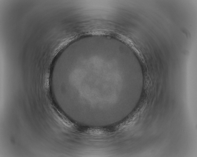 X0000111840299200907231414