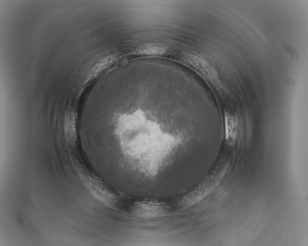 X0000111840300200907231413