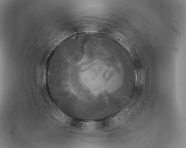 X0000111840301200907231413