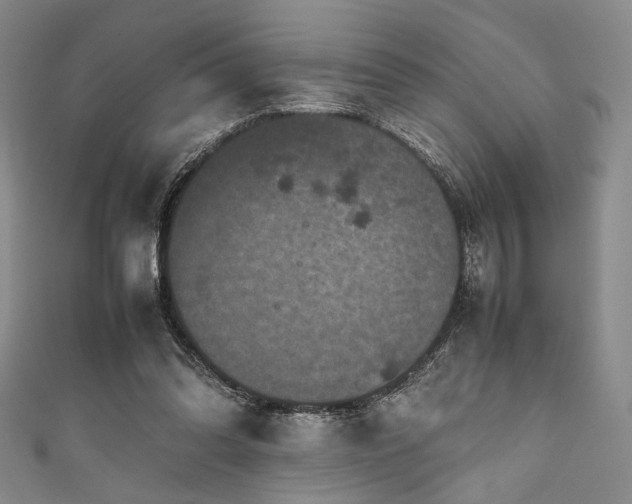 X0000111840302200907231413