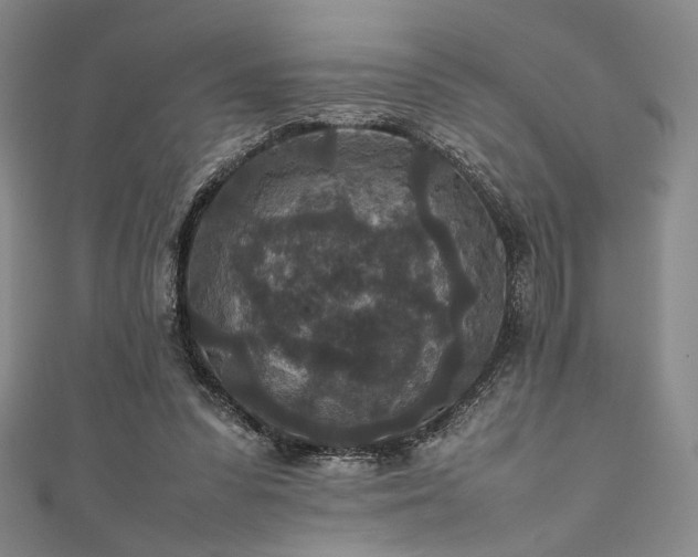 X0000111840303200907231413