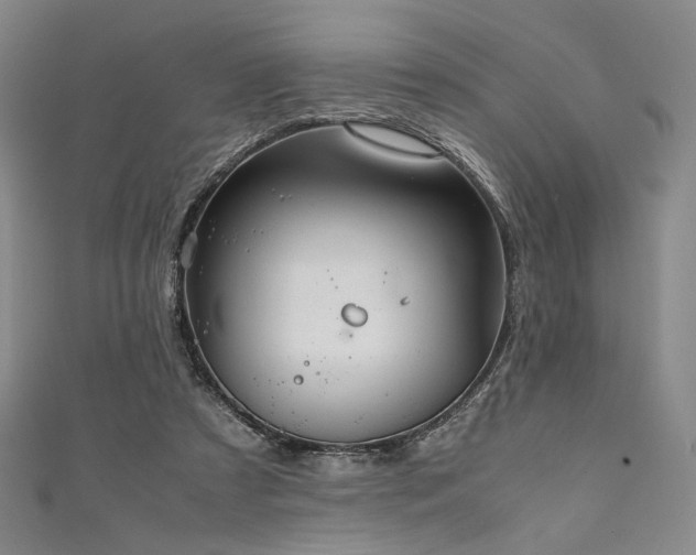 X0000111840305200907231413