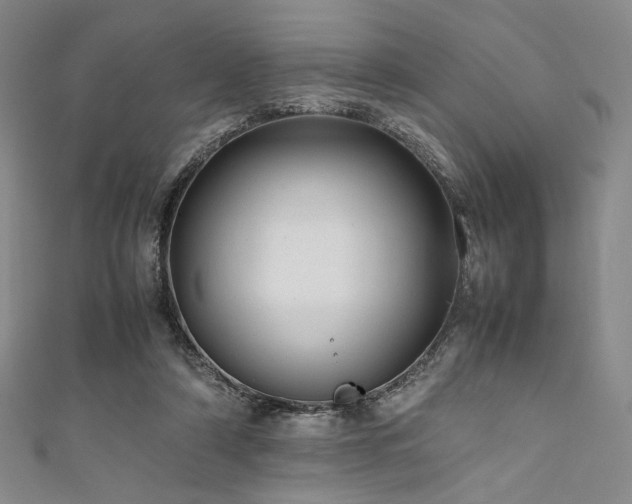 X0000111840306200907231413