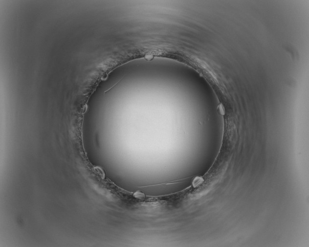 X0000111840307200907231413