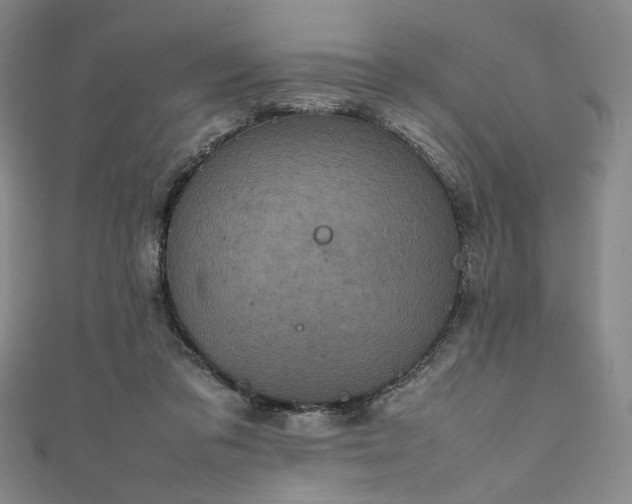 X0000111840309200907231413