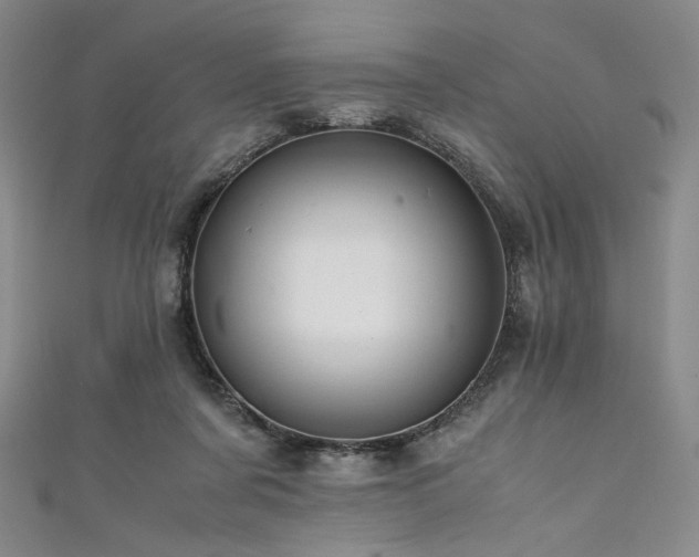 X0000111840311200907231413