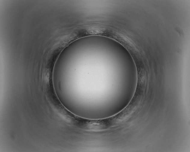 X0000111840315200907231413