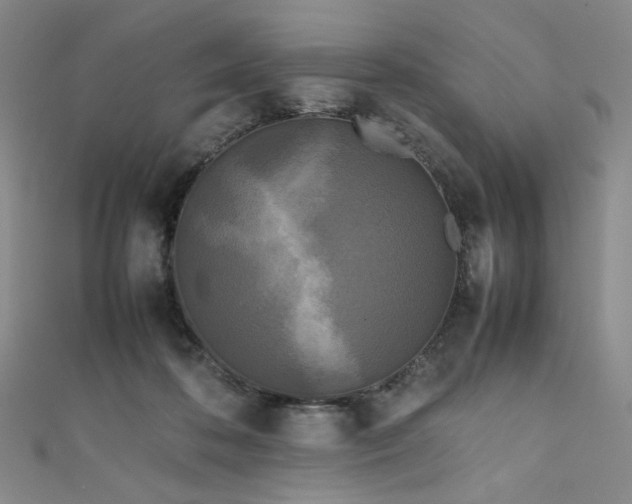 X0000111840316200907231413